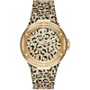 Gold  Cheetah