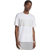 Sig Stripe Logo/White