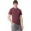 Oxblood