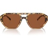 Brown Tortoise/Brown Solid