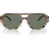 Olive Tortoise/Green Solid