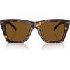 Dark Tortoise/Dark Brown Solid Polarized