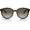 Olive Tortoise/Olive Gradient