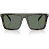 Olive Tortoise/Green Solid