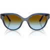 Navy/Brown Blue Gradient