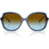 Navy/Brown Blue Gradient Bio