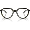 Olive Tortoise/Demo Lens