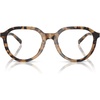 Vintage Tortoise/Demo Lens