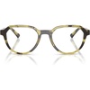 Olive Tortoise/Olive Gradient