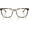 Olive Tortoise/Demo
