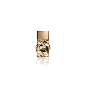 Michael Kors Pour Femme Eau de Parfum Spray, for Women(1.7 Fl Oz (Pack of 1))