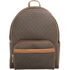 Brown/Acorn